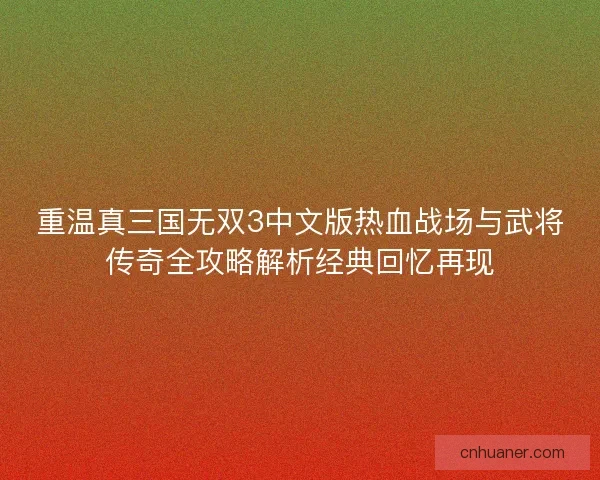 重温真三国无双3中文版热血战场与武将传奇全攻略解析经典回忆再现