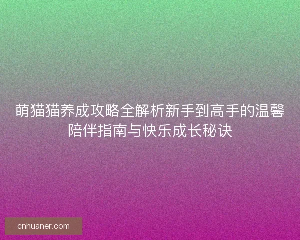 萌猫猫养成攻略全解析新手到高手的温馨陪伴指南与快乐成长秘诀